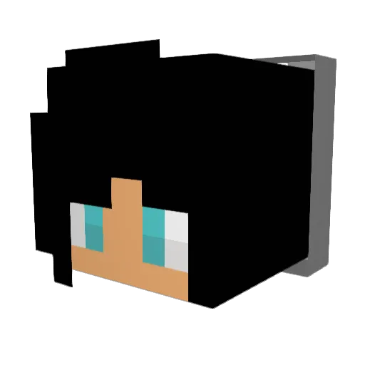 HawaiiGirl5346 Minecraft avatar head, 3D render