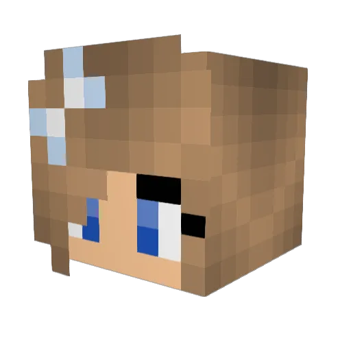 Hawaii_M3mes Minecraft avatar head, 3D render