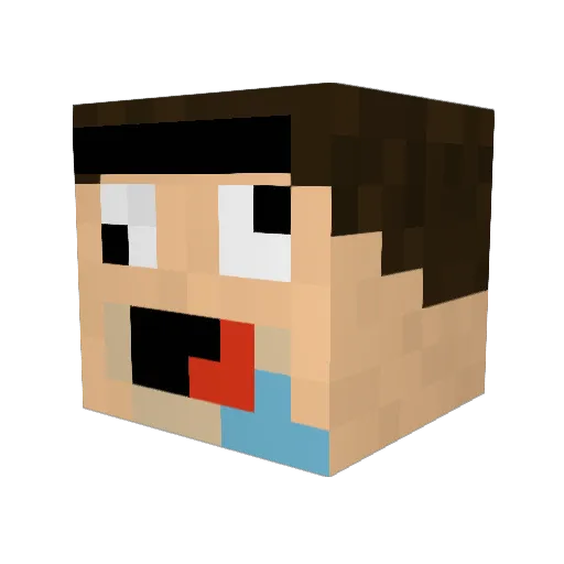 Hawaiiboy2005 Minecraft avatar head, 3D render