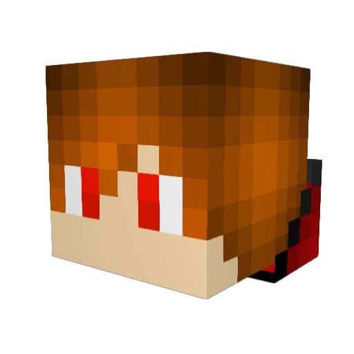 Hawaiibrody Minecraft avatar head, 3D render