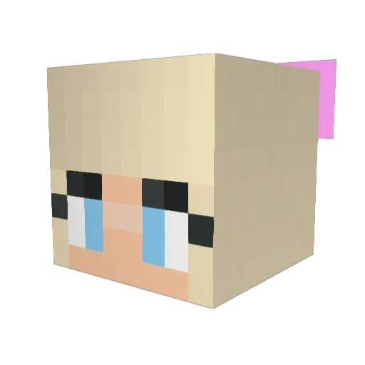 Hawaiiojg Minecraft avatar head, 3D render