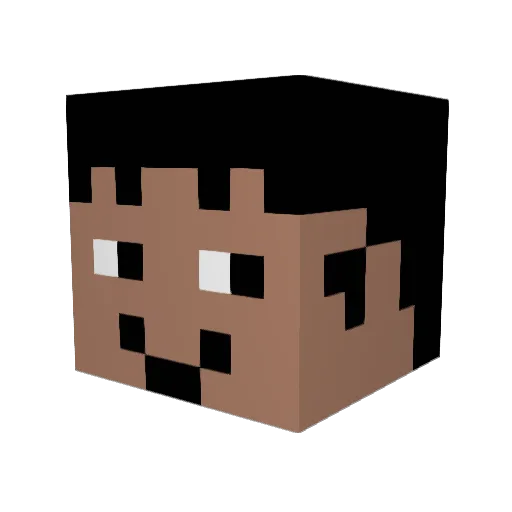 Hawk0863 Minecraft avatar head, 3D render