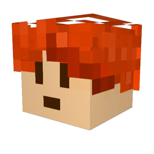 Hawk17011 Minecraft avatar head, 3D render