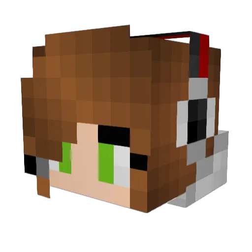 Hawk_32 Minecraft avatar head, 3D render