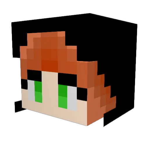 Hawk_628 Minecraft avatar head, 3D render