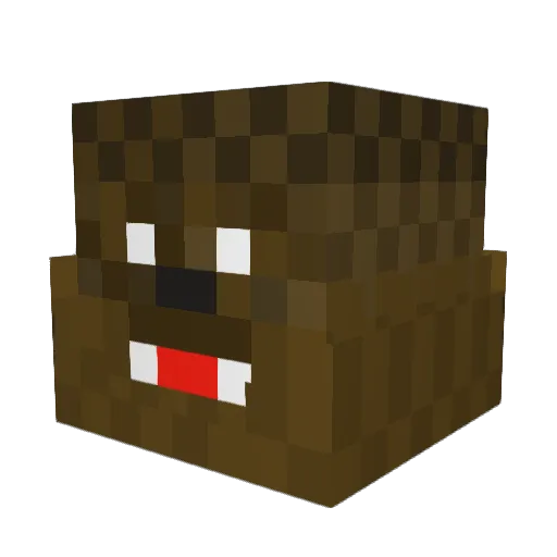 Hawk_Eye428 Minecraft avatar head, 3D render