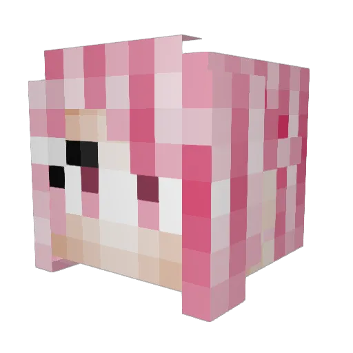 Hawk_Eye_13 Minecraft avatar head, 3D render