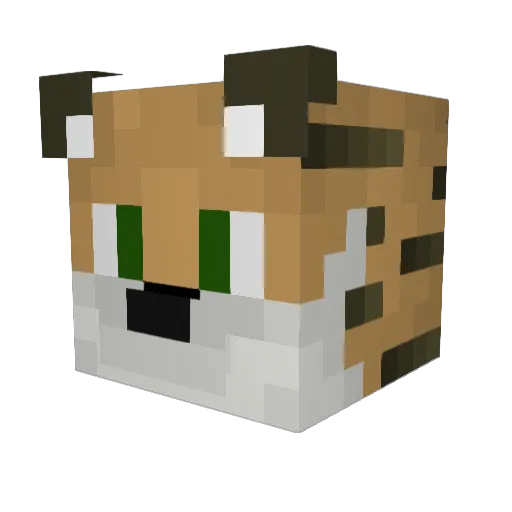 Hawk_Observer Minecraft avatar head, 3D render