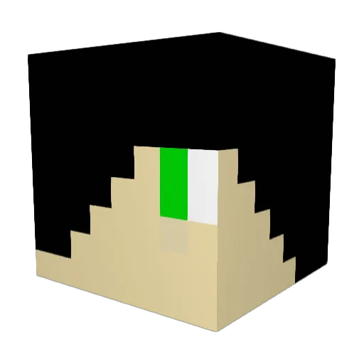 Hawk__MC Minecraft avatar head, 3D render