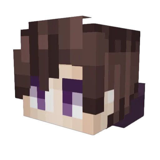 Hawk_on Minecraft avatar head, 3D render