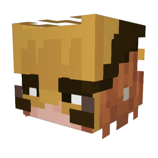 Hawkegirl Minecraft avatar head, 3D render