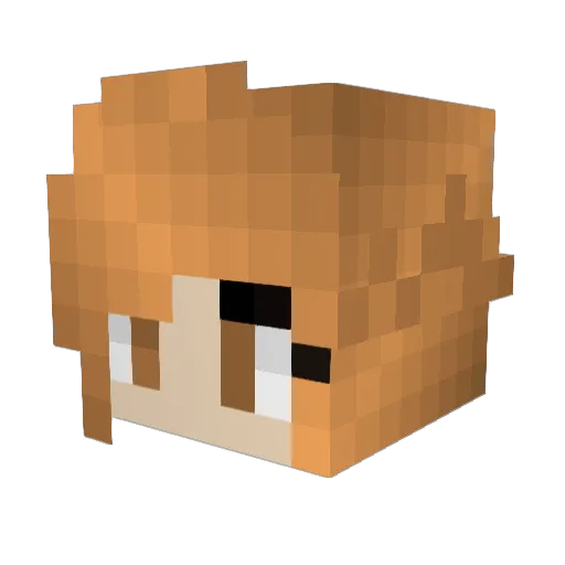 Hawkeye2341 Minecraft avatar head, 3D render