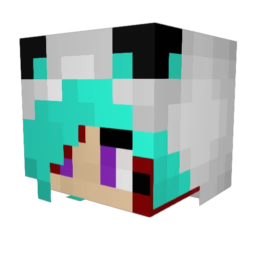 Hawkflight329 Minecraft avatar head, 3D render