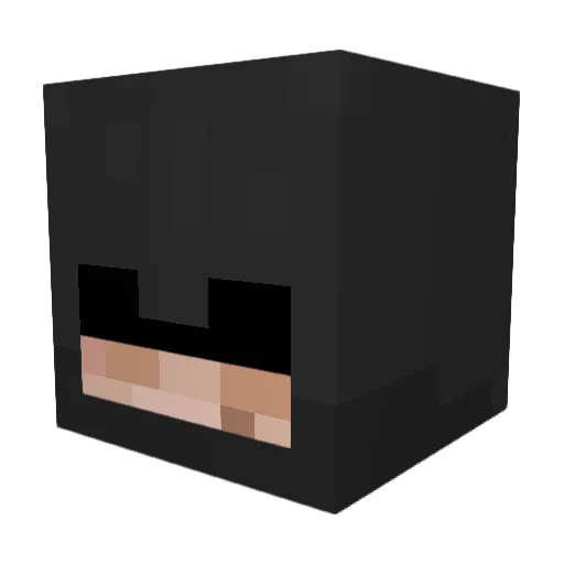 HawkiReis Minecraft avatar head, 3D render