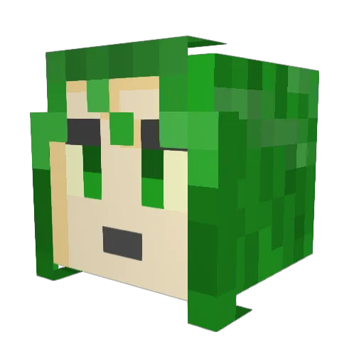 HawkinSherpherd Minecraft avatar head, 3D render
