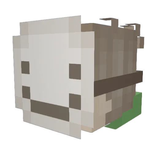 Hawkredeye Minecraft avatar head, 3D render