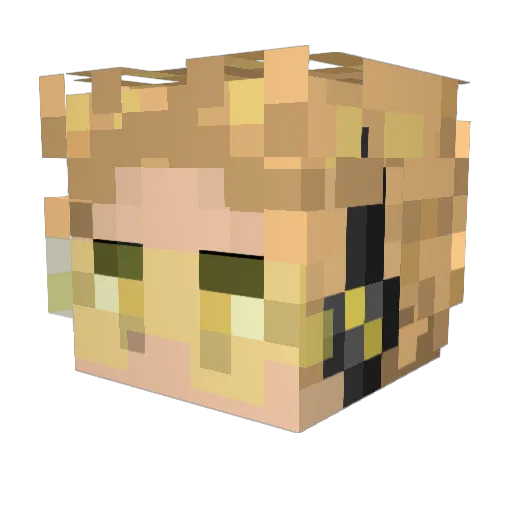 Hawks44 Minecraft avatar head, 3D render