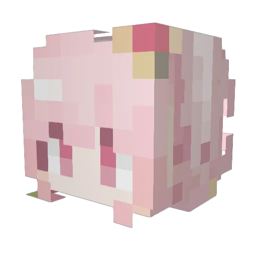 Hawkssssssss Minecraft avatar head, 3D render