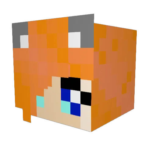 Hawky13 Minecraft avatar head, 3D render