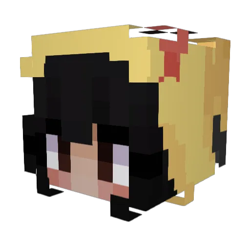 Hawkyflight Minecraft avatar head, 3D render