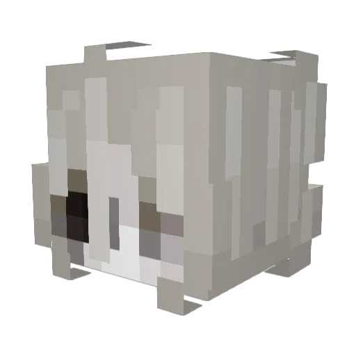 HawoonL Minecraft avatar head, 3D render