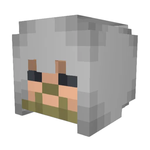 HawtAppleCider Minecraft avatar head, 3D render