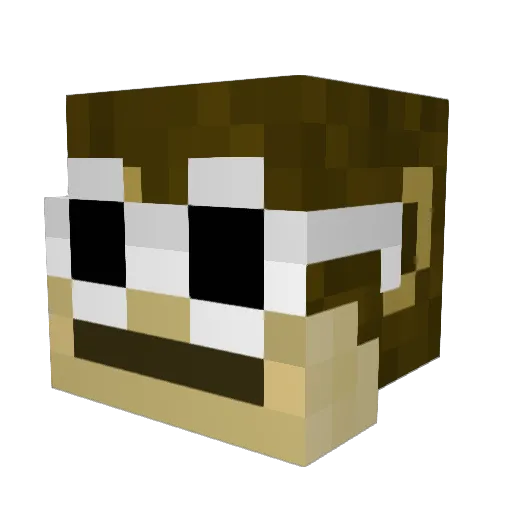 Hawthorne_ Minecraft avatar head, 3D render