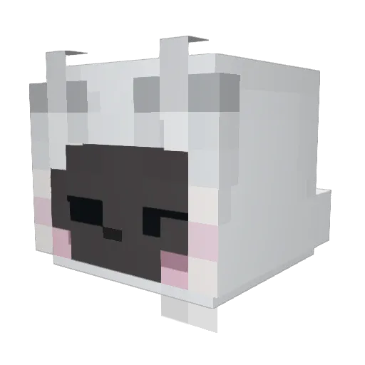 Hawwah_ Minecraft avatar head, 3D render