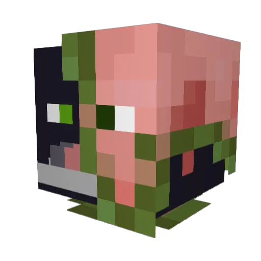 HaxPigMeow Minecraft avatar head, 3D render