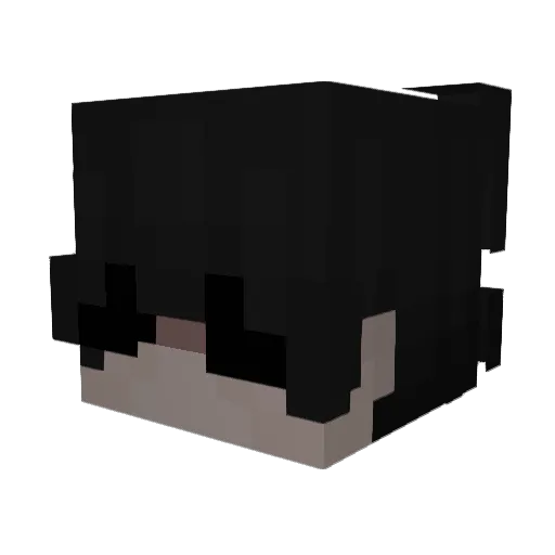 HaxTerminator Minecraft avatar head, 3D render