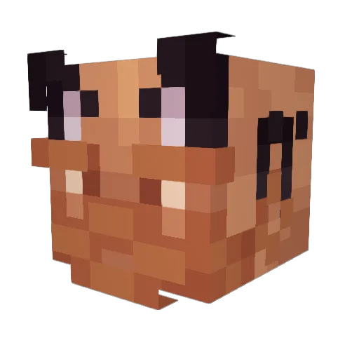 HaxTraxxmMania Minecraft avatar head, 3D render