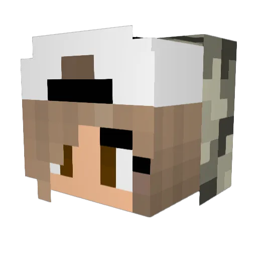 Haxe_III Minecraft avatar head, 3D render