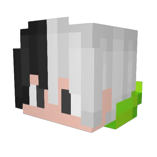 Haxies_ Minecraft avatar head, 3D render
