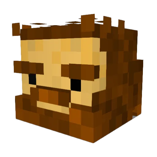 Haxorkat Minecraft avatar head, 3D render