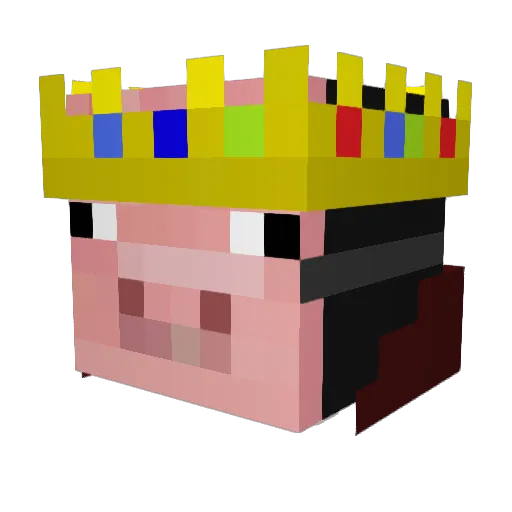 Haxy___ Minecraft avatar head, 3D render
