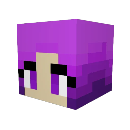 HayHayVibbz Minecraft avatar head, 3D render