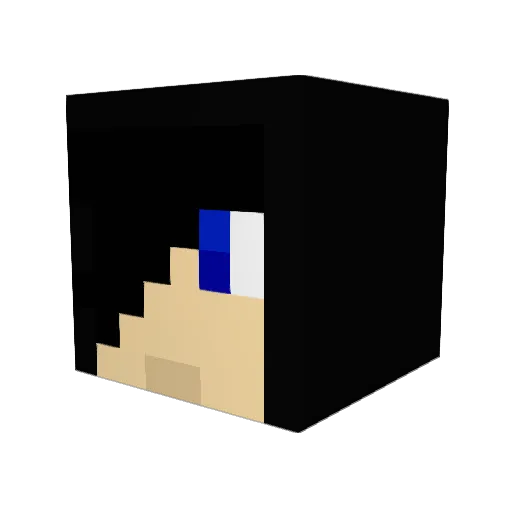 HayHay_HayHay Minecraft avatar head, 3D render
