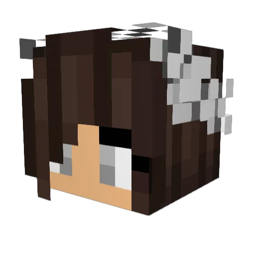 HayRush7 Minecraft avatar head, 3D render