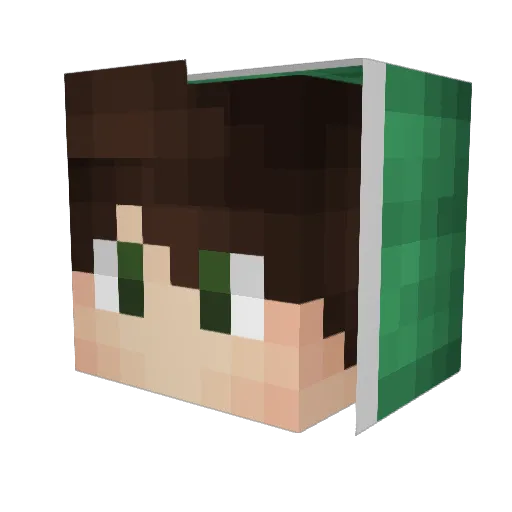Hayakuu Minecraft avatar head, 3D render