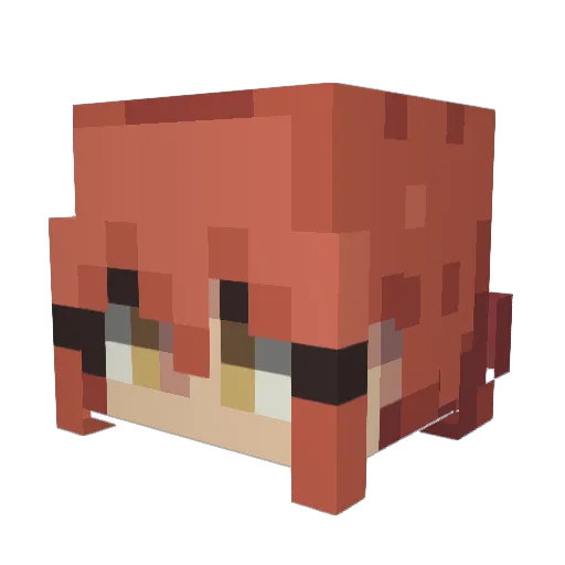 Hayami0 Minecraft avatar head, 3D render
