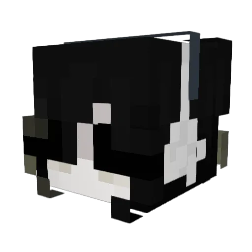 Hayanek Minecraft avatar head, 3D render