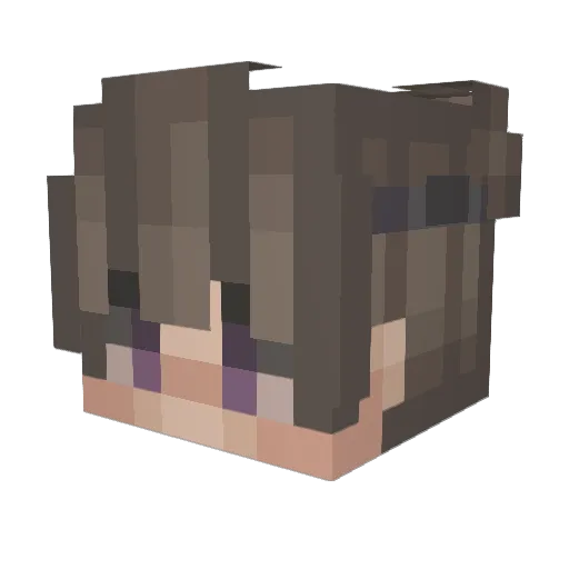 Hayasakaa Minecraft avatar head, 3D render