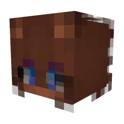 Hayase_xd Minecraft avatar head, 3D render