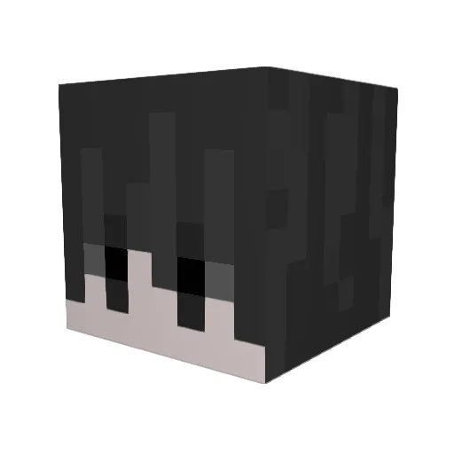 Hayashe1 Minecraft avatar head, 3D render