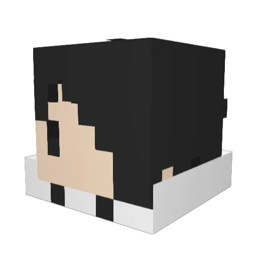 Hayaten421 Minecraft avatar head, 3D render