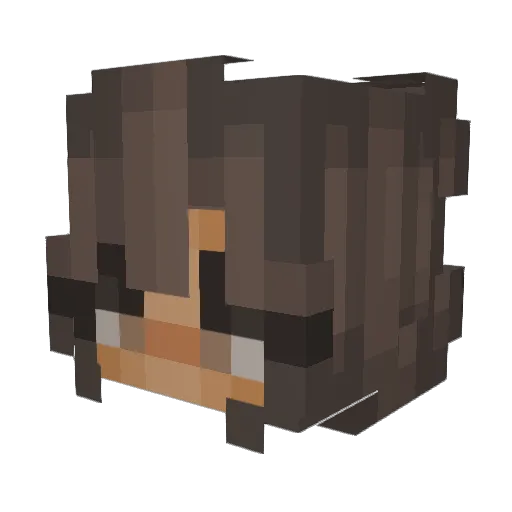 Haybo700 Minecraft avatar head, 3D render