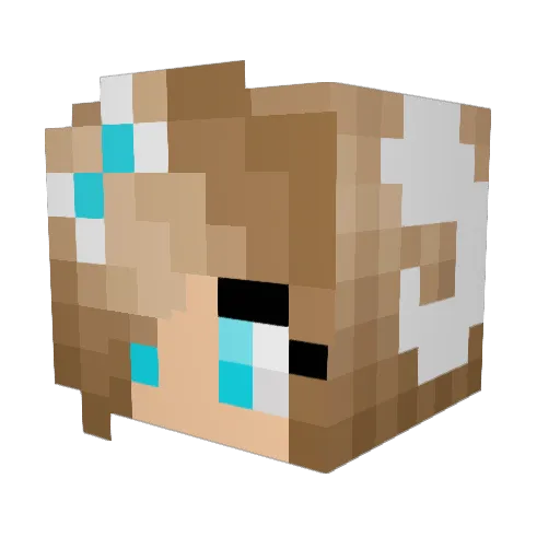 Haybug2004 Minecraft avatar head, 3D render