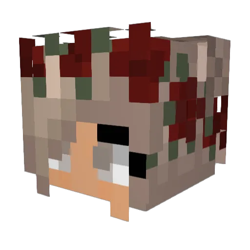 Haybunny143 Minecraft avatar head, 3D render