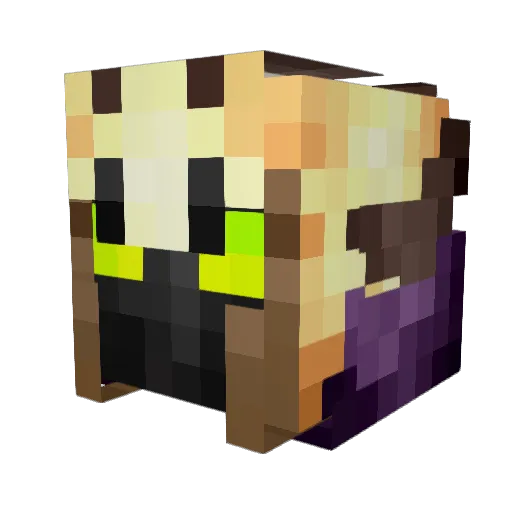 Haydeez Minecraft avatar head, 3D render