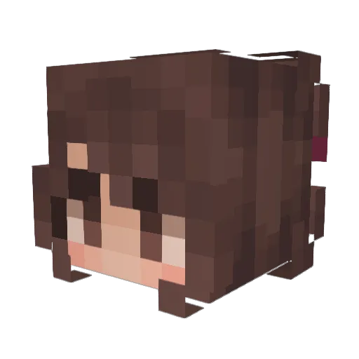 Haydelli Minecraft avatar head, 3D render